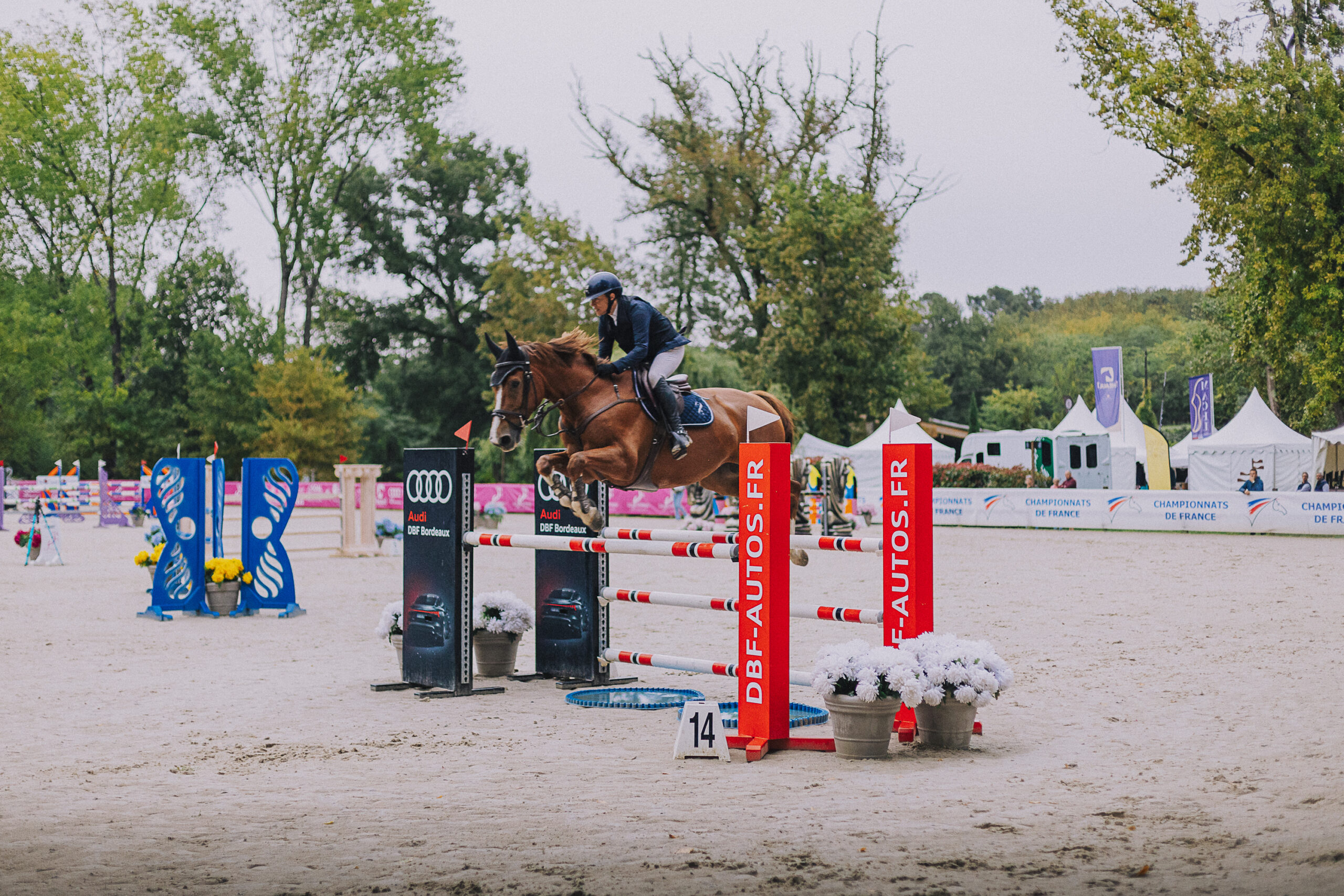 Partenariats — Groupe DBF Automobiles